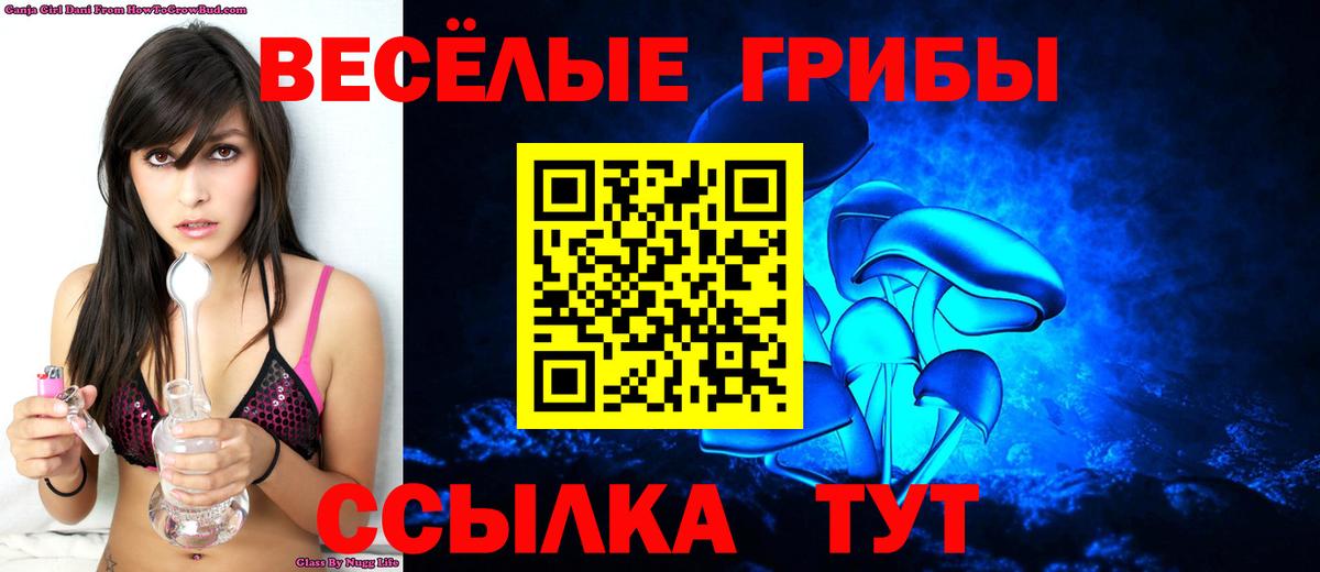 Псилоцибиновые грибы Psilocybe  Вход с VPN  Рязань 